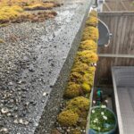 gutter cleaning before