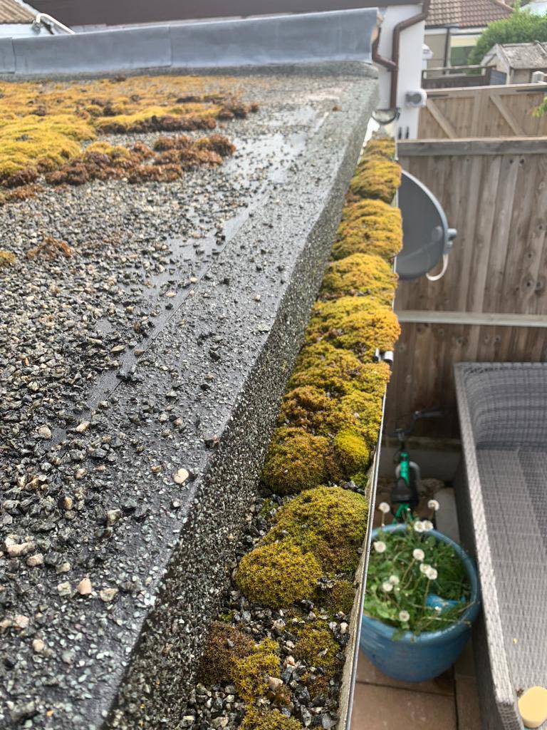 gutter cleaning before