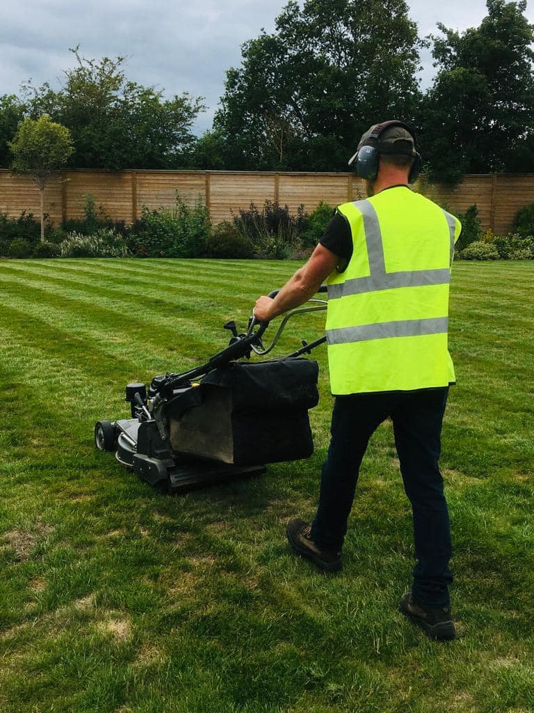 grass cutting