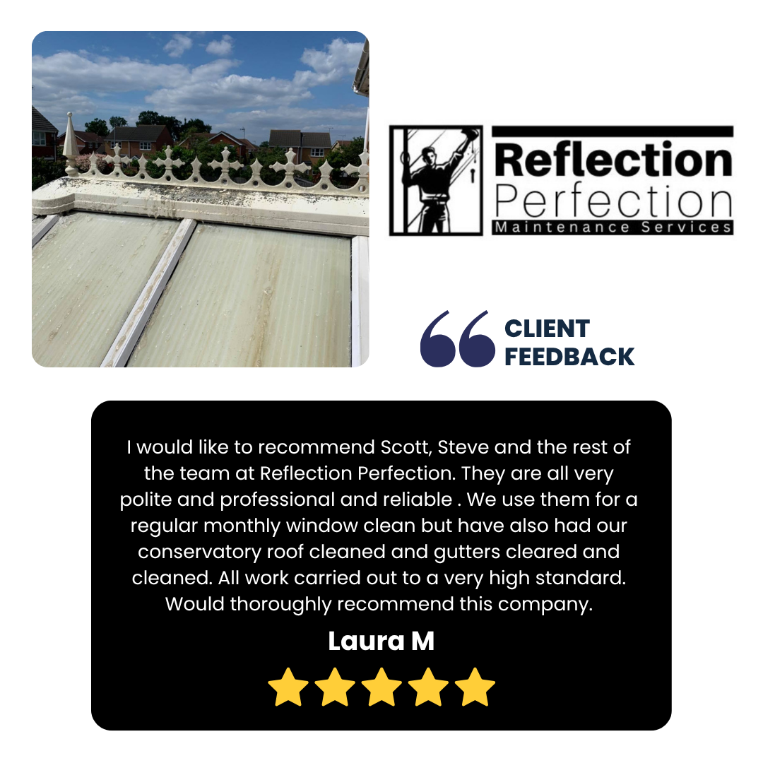 laura m feedback