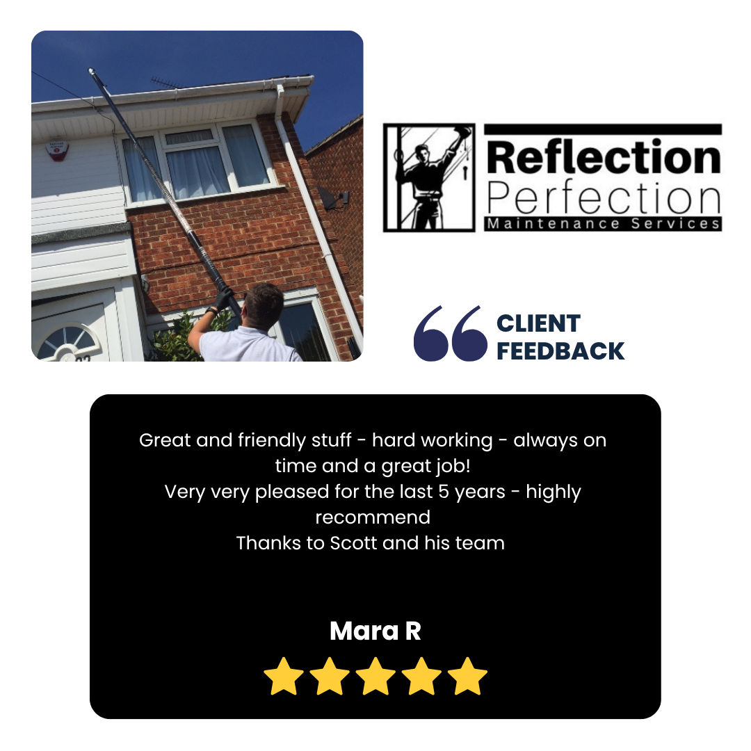 mara r feedback